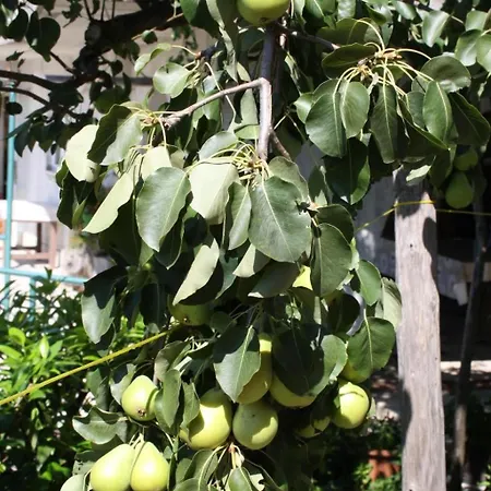 Gemuetliche Andrea In Opatija By Interhome